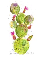 Cactus Verse III Framed Print