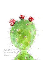 Cactus Verse IV Framed Print