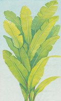 Chartreuse Tropical Foliage II Framed Print