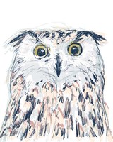 Funky Owl Portrait II Framed Print