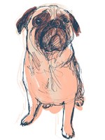 Dog Portrait--Dave Framed Print