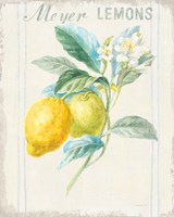 Floursack Lemon II v2 Framed Print