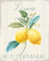 Floursack Lemon III Framed Print
