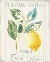 Floursack Lemon I Framed Print