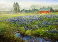 Blue Bonnet Barn Fine Art Print