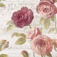 French Roses V Framed Print