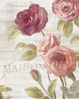 French Roses III Framed Print
