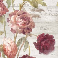 French Roses IV Framed Print