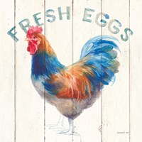 Fresh Eggs Hen Framed Print