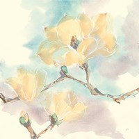 Magnolias in White I Framed Print