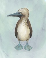 Watercolor Beach Bird I Framed Print