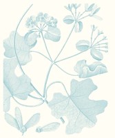 Botanical Study in Spa II Framed Print