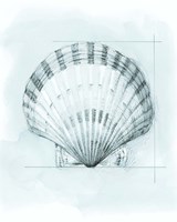 Coastal Shell Schematic III Framed Print