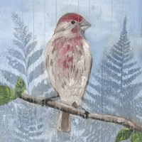 Eastern Songbird I Framed Print