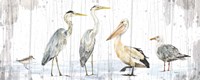Birds of the Coast Rustic Panel Fine Art Print