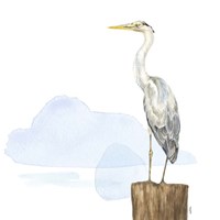 Birds of the Coast on White II Framed Print