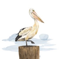 Birds of the Coast on White III Framed Print