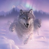 Running Wolves - Northern Lights - Square Framed Print