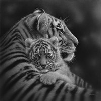 Tiger Mother and Cub - Cherished - B&W Framed Print