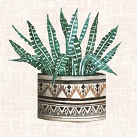 Cactus Mud Cloth Vase III Framed Print