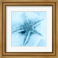 Nautica No1 Fine Art Print