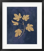 Botanical Study III Gold Navy Framed Print