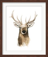 Watercolor Elk Portrait I Fine Art Print