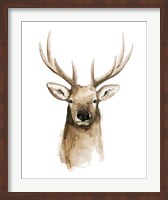 Watercolor Elk Portrait II Fine Art Print