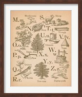 Vintage Alphabet II Fine Art Print