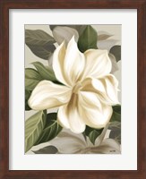 Magnolia Blossoms II Fine Art Print