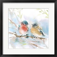 Bluebird Pair in Spring Framed Print