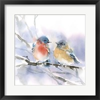 Bluebird Pair Framed Print