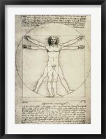 Human Proportions-Vitruvian Man Fine Art Print