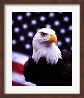 Courage - Eagle Flag Fine Art Print