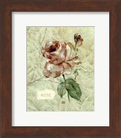 Rose On Cracked Linen Fine Art Print