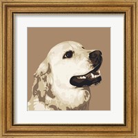 Golden Retriever Fine Art Print