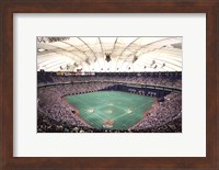 Metrodome, Minneapolis Fine Art Print