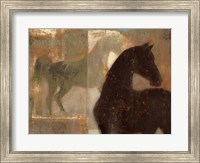 Weathered Equine I Fine Art Print