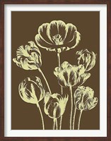 Tulip 4 Fine Art Print