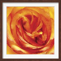 Painterly Flower I Fine Art Print