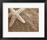 Starfish in the Sand Fine Art Print