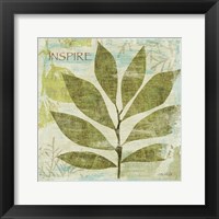 Woodland Thoughts II Framed Print