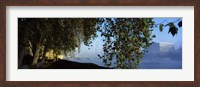 Ferris wheel looking viewed through trees, Millennium Wheel, Thames River, South Bank, London, England Fine Art Print