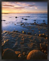 Sunset, Tasman Bay, South Island, New Zealand Fine Art Print