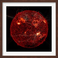 Magnetic Field Visible on the Sun Fine Art Print