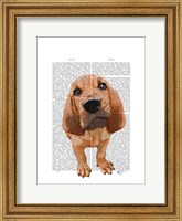 Bloodhound Puppy Fine Art Print