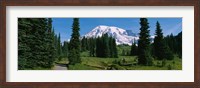 Mt. Rainier National Park, Washington State Fine Art Print