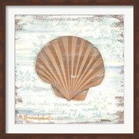 Ocean Scallop Fine Art Print