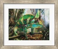 Grumpy Green Fine Art Print