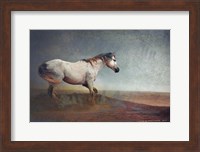 White Horse Dust Storm Fine Art Print